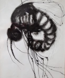 José Hernandez 1964 - "Insecto" dibujo acrílico y tinta china papel, enmarcado