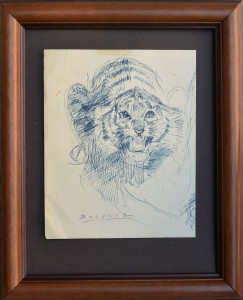 Becquer Carlos, Felino furioso, dibujo tinta plumilla papel, enmarcado, dibujo 20x16 cms. y marco 32x26 cms (1)