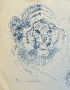 Becquer Carlos, Felino furioso, dibujo tinta plumilla papel, enmarcado, dibujo 20x16 cms. y marco 32x26 cms (3)