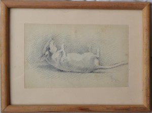 Seiquer Alejandro, Estudio de ratón,  dibujo lápiz papel, enmarcado, dibujo 11,50x19 y marco 20x27 cms.  (1)