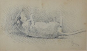Seiquer Alejandro, Estudio de ratón,  dibujo lápiz papel, enmarcado, dibujo 11,50x19 y marco 20x27 cms.  (2)
