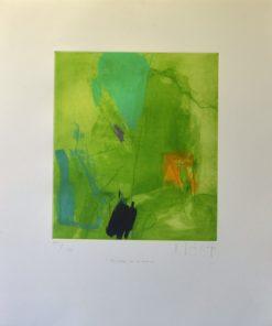 Joaquín Capa - "La Montaña, Picados de Viernoles" grabado color