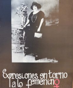 Expresiones en torno a lo femenino - "Biblioteca Nacional" cartel original exposición