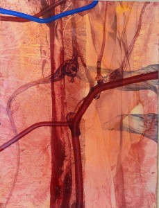 Urzay Darío 1996, Sistema circulatorio, técnica mixta cartulina, enmarcado, pintura 76x57,50 y marco 86,50x68 cms. (6)