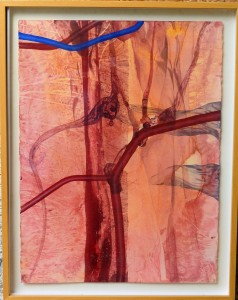Urzay Darío 1996, Sistema circulatorio, técnica mixta cartulina, enmarcado, pintura 76x57,50 y marco 86,50x68 cms. (9)