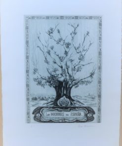 Irene Iribarren - "Los Borbones de España" grabado