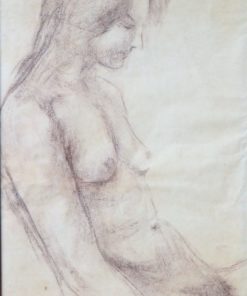 Juan Vicente Barrio Juanvi - "Joven desnuda recostada" dibujo carboncillo papel, enmarcado