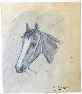 Torrado Ramón, Cabeza de caballo III, dibujo lápiz papel, enmarcado, dibujo 12x10,50 y marco 27x25 cms. (2)
