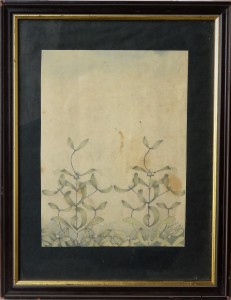 Sager Xavier, Estudio de plantas II, dibujo lápiz y acuarela papel, enmarcado, dibujo 24x18 cms. y marco 36x28 cms. (1)