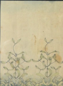 Sager Xavier, Estudio de plantas II, dibujo lápiz y acuarela papel, enmarcado, dibujo 24x18 cms. y marco 36x28 cms. (4)