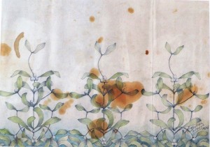 Sager Xavier, Estudio de plantas III, dibujo lápiz y acuarela papel, enmarcado, dibujo 19,50x27 cms. y marco 33,50x45 cms. (2)