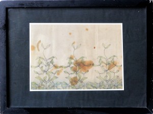 Sager Xavier, Estudio de plantas III, dibujo lápiz y acuarela papel, enmarcado, dibujo 19,50x27 cms. y marco 33,50x45 cms. (3)