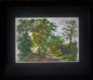 Zaplana, Paisaje boscoso, dibujo acuarela papel, enmarcado, dibujo 19x27 cms. y marco 34x41 cms. (1)