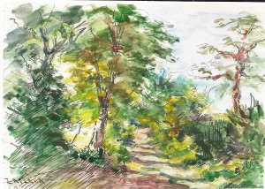Zaplana, Paisaje boscoso, dibujo acuarela papel, enmarcado, dibujo 19x27 cms. y marco 34x41 cms. (4)