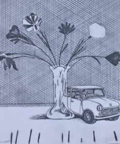 Fernando Bellver - "Mini Austin Cooper- David Hockney" serie coches bodegón, dibujo original grafito sobre acetato papel