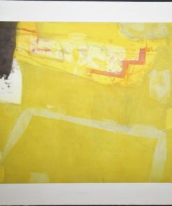 Joaquín Capa - "Yellow" grabado aguafuerte, enmarcado