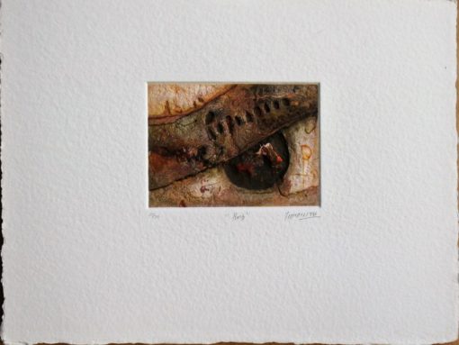 Antonio Jimenez - "Raiz" grabado y gofrado papel artesanal