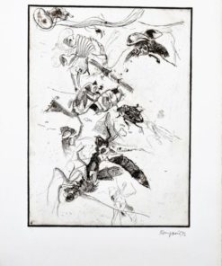 Bonifacio - "Insectos # 10" grabado aguafuerte