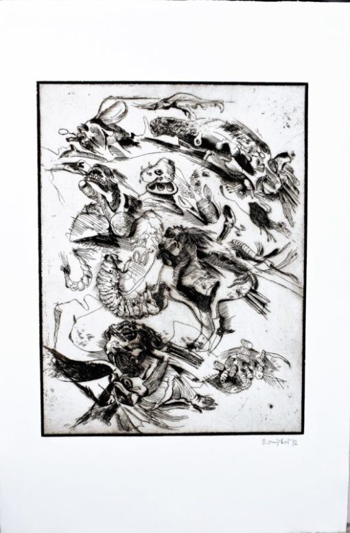 Bonifacio - "Insectos # 12" grabado aguafuerte