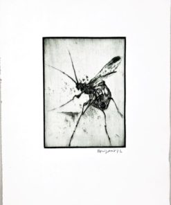 Bonifacio - "Insectos # 16" grabado aguafuerte