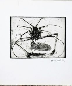Bonifacio - "Insectos # 17" grabado aguafuerte