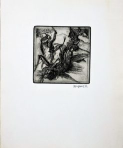 Bonifacio - "Insectos # 22" grabado aguafuerte