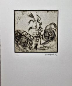 Bonifacio - "Insectos # 29" grabado aguafuerte