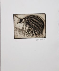 Bonifacio - "Insectos # 33" grabado aguafuerte