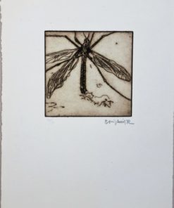 Bonifacio - "Insectos # 40" grabado aguafuerte