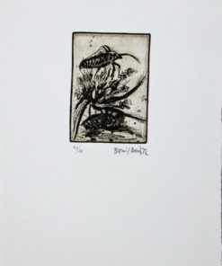 Bonifacio - "Insectos # 46" grabado aguafuerte
