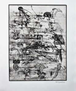 Bonifacio - "Insectos # 6" grabado aguafuerte
