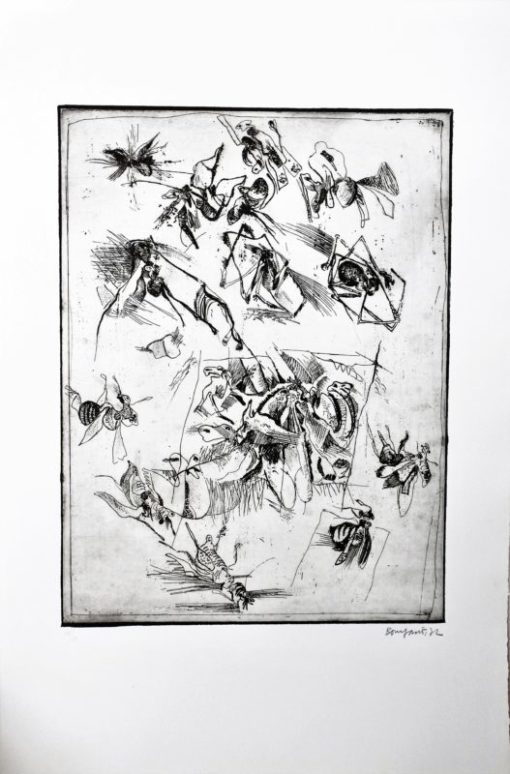Bonifacio - "Insectos # 8" grabado aguafuerte