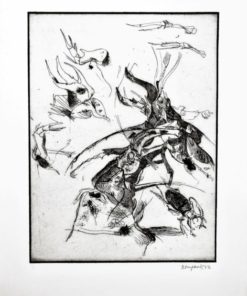 Bonifacio - "Insectos # 9" grabado aguafuerte