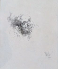 Juan Barba - "Cabeza de anciano" dibujo plumilla papel, enmarcado