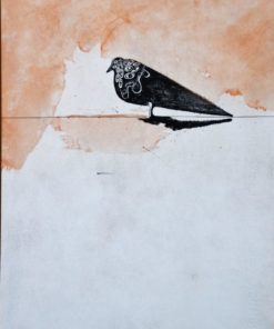 Jorge Castillo 1967 - "Paloma negra orlada" dibujo tinta y acuarela cartulina