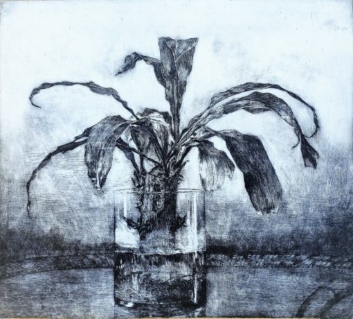 Fernando Bellver 1978 - "Drácena, suite intimista" grabado