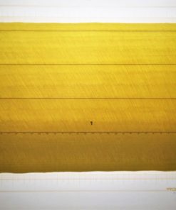 Joan Hernandez Pijuan 1976 - "Proyectos para un paisaje VI" litografia