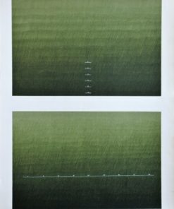 Joan Hernandez Pijuan - "Dobre paisatge verd" litografia