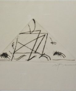 Albert Ràfols-Casamada 1985 - "Jardí - 5" Grabado punta seca, enmarcado