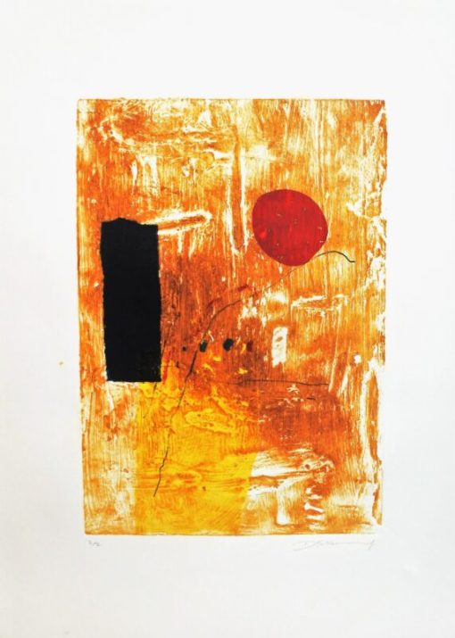 Duck Sung Kang 2004 - "Composición S.T. II" grabado aguafuerte y gofrado