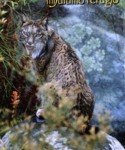 Andujar - "Lince Ibérico, Mi último refugio" cartel promoción turística