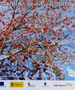 Valderrey, León - "Maragatería" cartel promoción turística