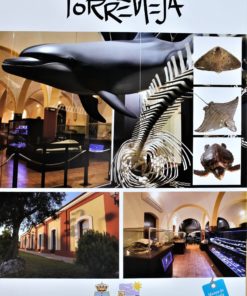 Alicante - "Torrevieja, Museo de Historia Natural" cartel promoción turística