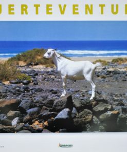 Fuerteventura - "Cofete - Jandía" cartel promoción turística