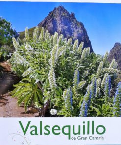 Gran Canaria - "Valsequillo, Senderos de Valsequillo I" cartel promoción turística