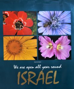 Israel - "Color for all seasons" cartel promoción turística