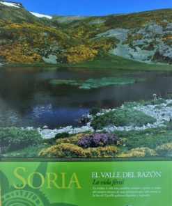 Soria - "El valle del Razón" cartel promoción turística