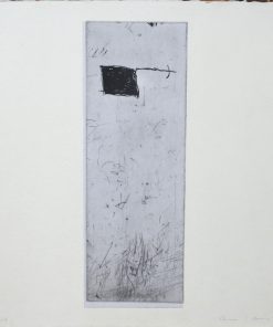 Josep Maria Riera i Aragó - "Una tarde de calor" grabado aguafuerte