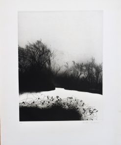 Marta Cárdenas - "Paisaje con rio" grabado aguafuerte