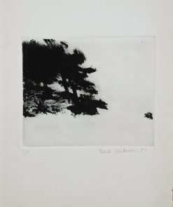 Marta Cárdenas - "Paisaje" grabado aguafuerte